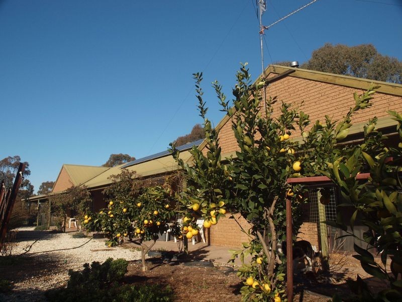 328 Eickerts Lane, Heathcote VIC 3523