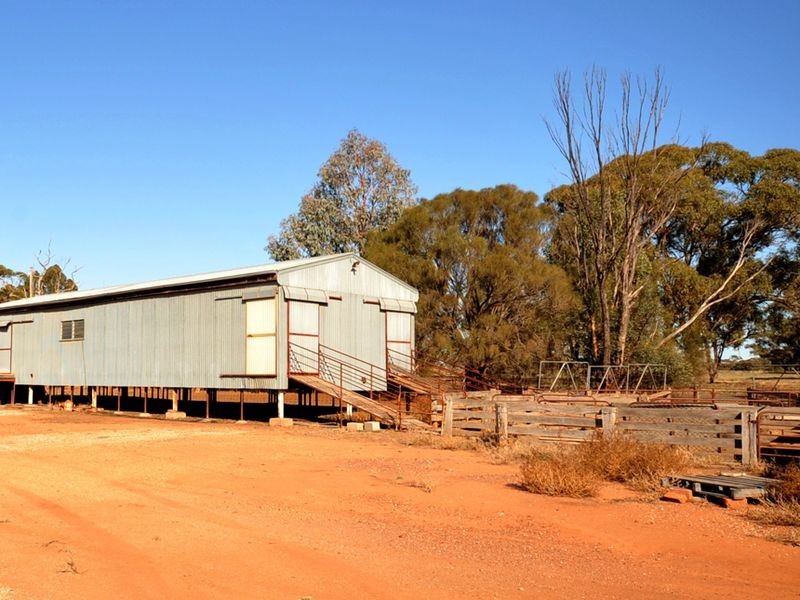 152 Robertson Street, Raywood VIC 3570