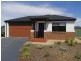 16 Caulfield Drive, Ascot VIC 3551