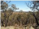 Lot 29 Pinpandoor Road, Axedale VIC 3551