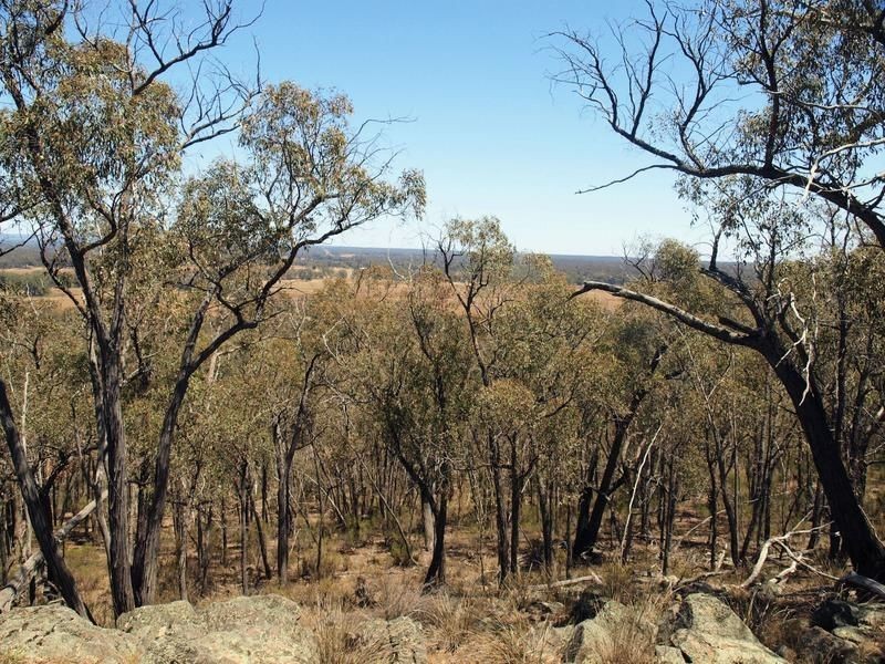 Lot 29 Pinpandoor Road, Axedale VIC 3551
