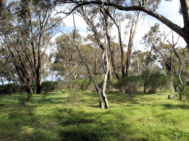 2 McNutts Lane, Heathcote VIC 3523