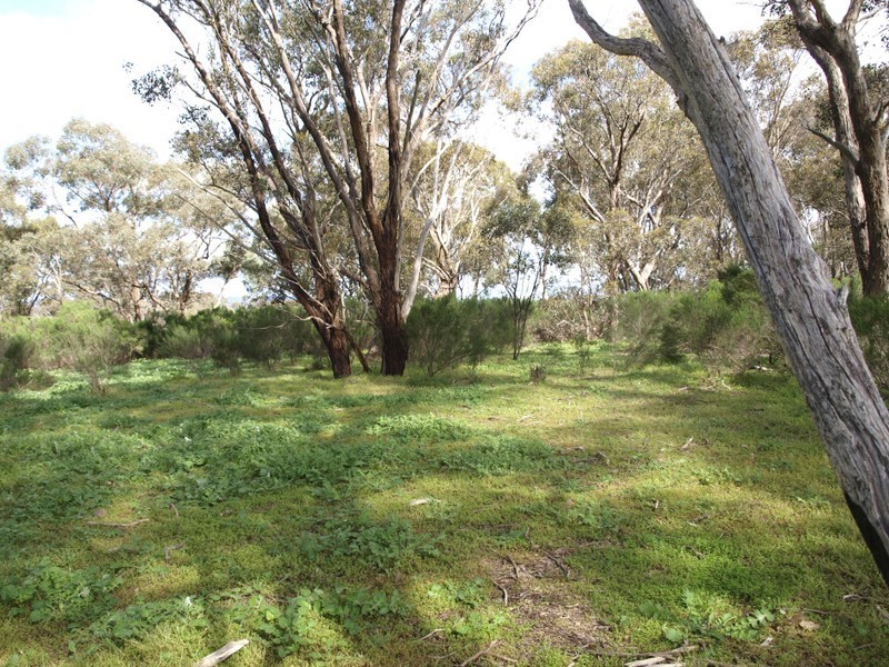 2 McNutts Lane, Heathcote VIC 3523