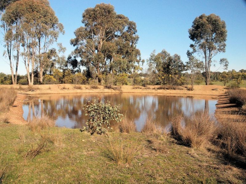 66 Ellesmere Ave, Axedale VIC 3551