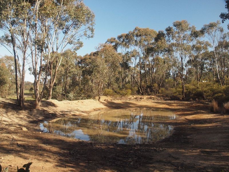 66 Ellesmere Ave, Axedale VIC 3551