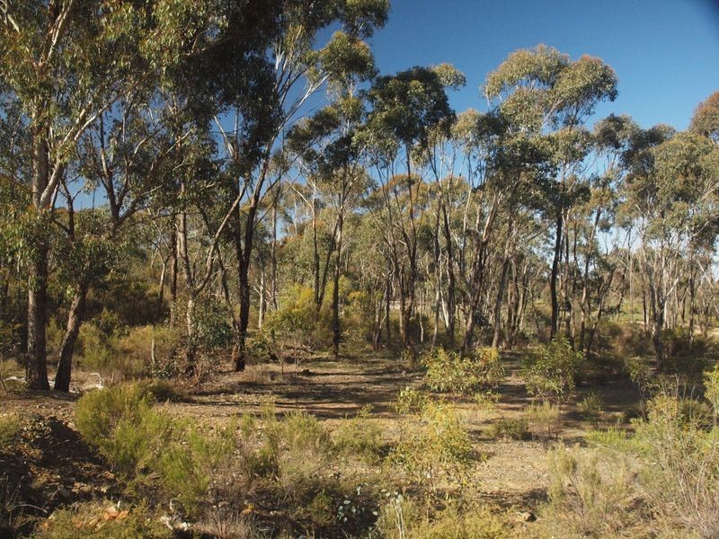 66 Ellesmere Ave, Axedale VIC 3551