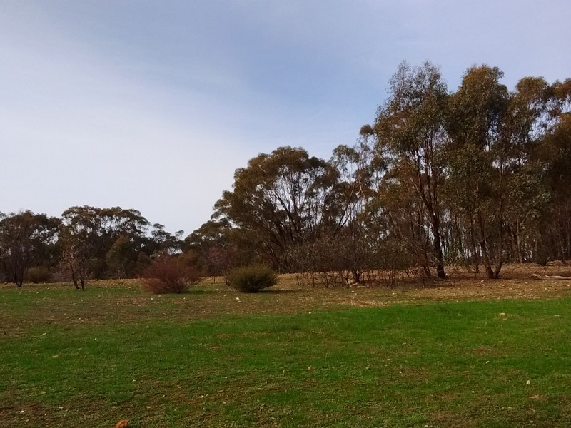 66 Ellesmere Ave, Axedale VIC 3551