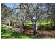 Lot 10 Northwood Court, Axedale VIC 3551