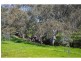Lot 10 Northwood Court, Axedale VIC 3551