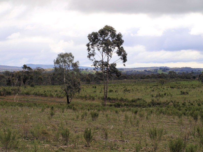 Lot 6 Warrowitue-Forest Rd, Heathcote VIC 3523