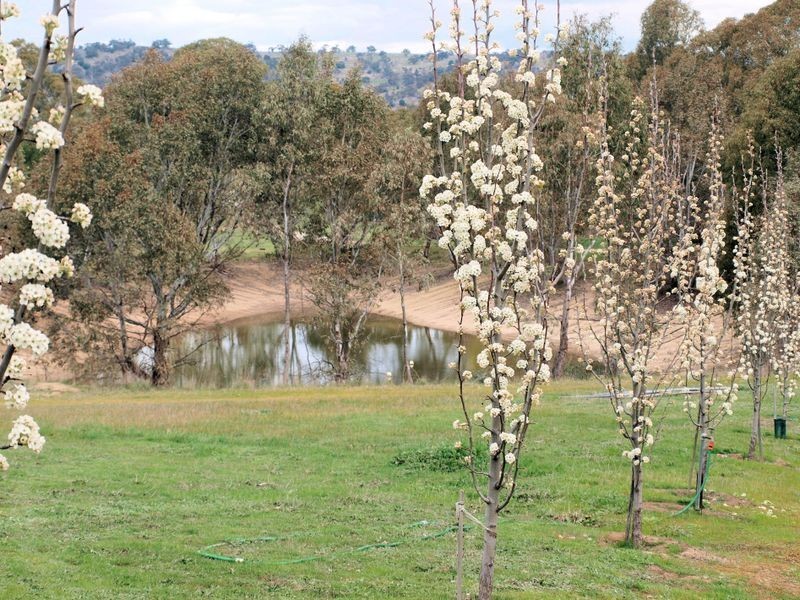 136 Hilda Drive, Ravenswood VIC 3453