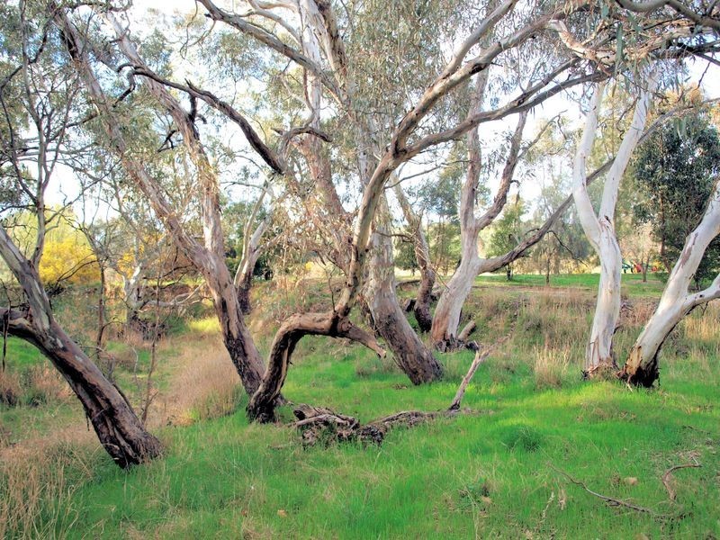 136 Hilda Drive, Ravenswood VIC 3453