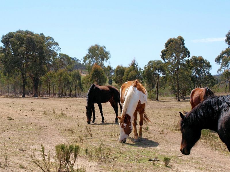155 Meadows Lane, Heathcote VIC 3523