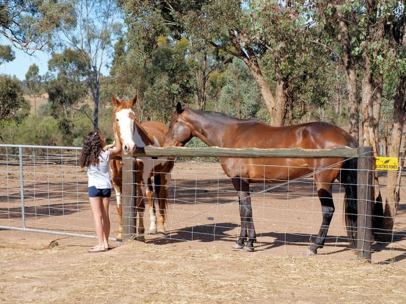 155 Meadows Lane, Heathcote VIC 3523