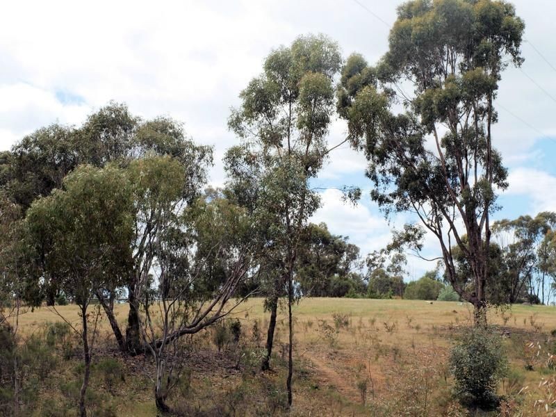 90 Heathcote-Redesdale Road, Heathcote VIC 3523