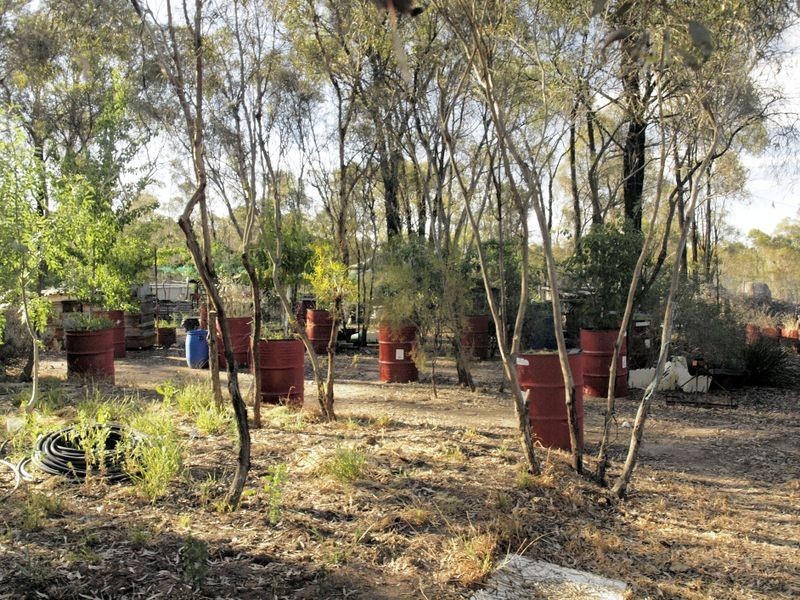 357 Forest Drive, Myers Flat VIC 3556