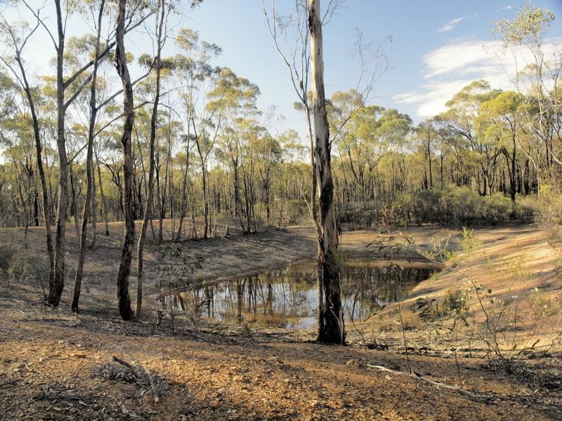 357 Forest Drive, Myers Flat VIC 3556