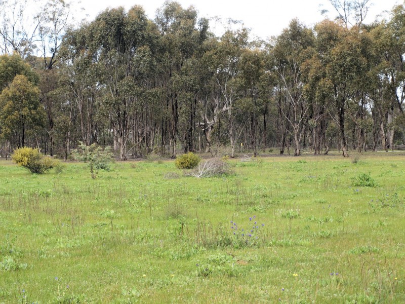 Lot 9 Old Heathcote Road, Heathcote VIC 3523