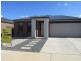 14 Yellowgum Drive, Epsom VIC 3551