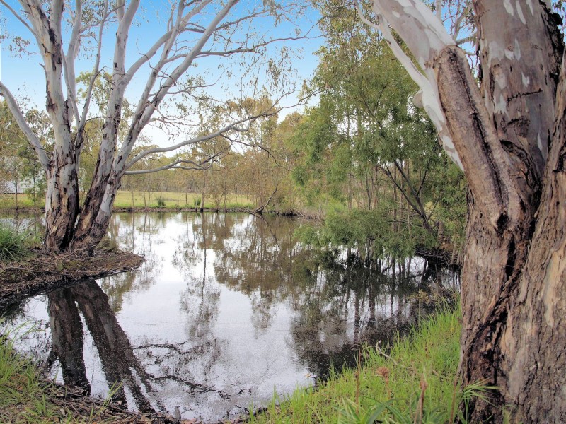 126 Etheridge Court, Heathcote VIC 3523