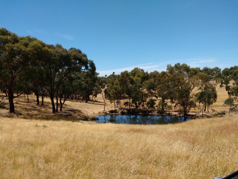 75 Heathcote East Baynton Road, Argyle VIC 3523