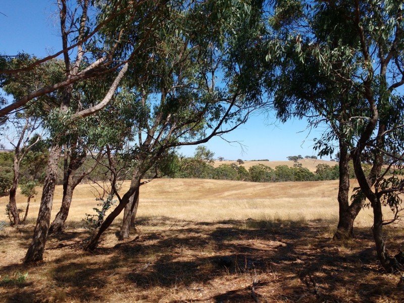 75 Heathcote East Baynton Road, Argyle VIC 3523
