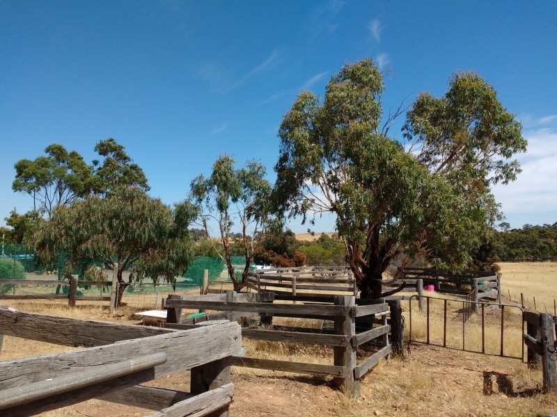 75 Heathcote East Baynton Road, Argyle VIC 3523
