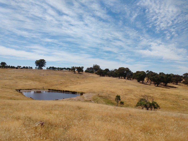 75 Heathcote East Baynton Road, Argyle VIC 3523