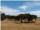 75 Heathcote East Baynton Road, Argyle VIC 3523