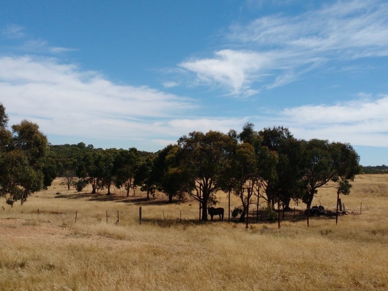 75 Heathcote East Baynton Road, Argyle VIC 3523