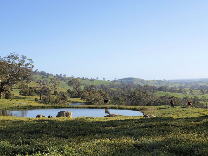 12 Joseph Young Drive, Faraday VIC 3451