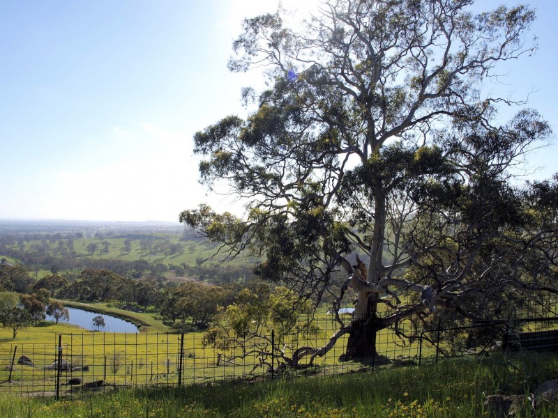 12 Joseph Young Drive, Faraday VIC 3451