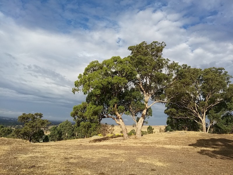 12 Joseph Young Drive, Faraday VIC 3451