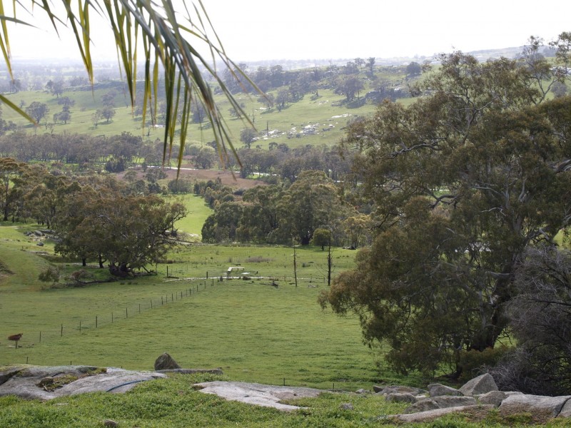 12 Joseph Young Drive, Faraday VIC 3451