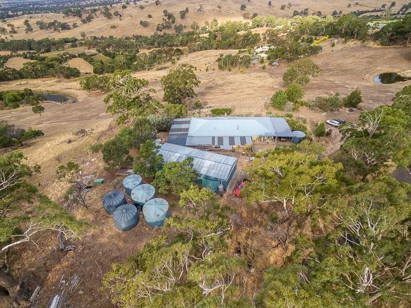 12 Joseph Young Drive, Faraday VIC 3451