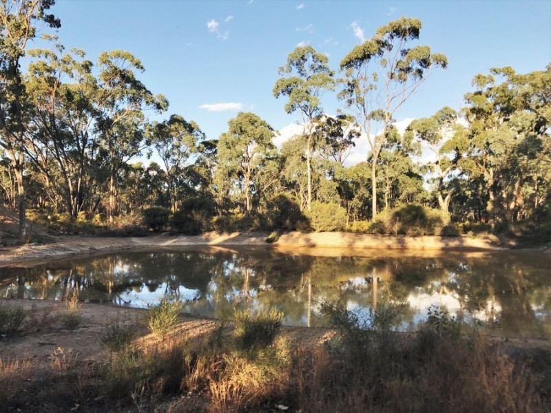 282 Turners Road, Strathfieldsaye VIC 3551