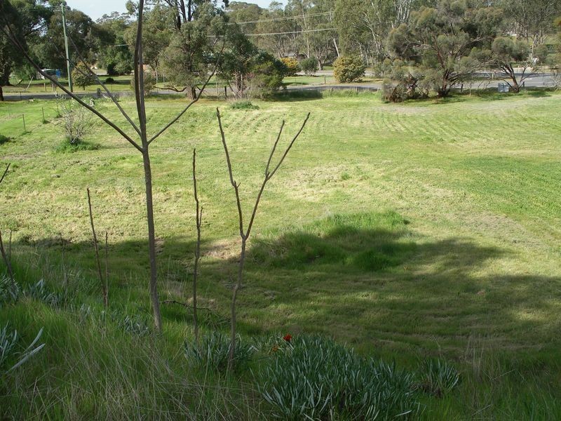 6 Ridge Street, Wedderburn VIC 3518