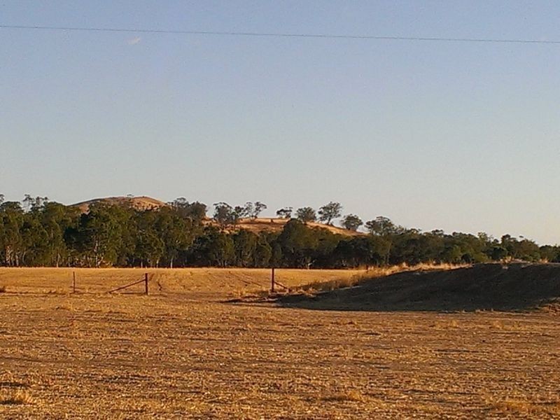 1850 Logan Wedderburn Road, Fentons Creek VIC 3518