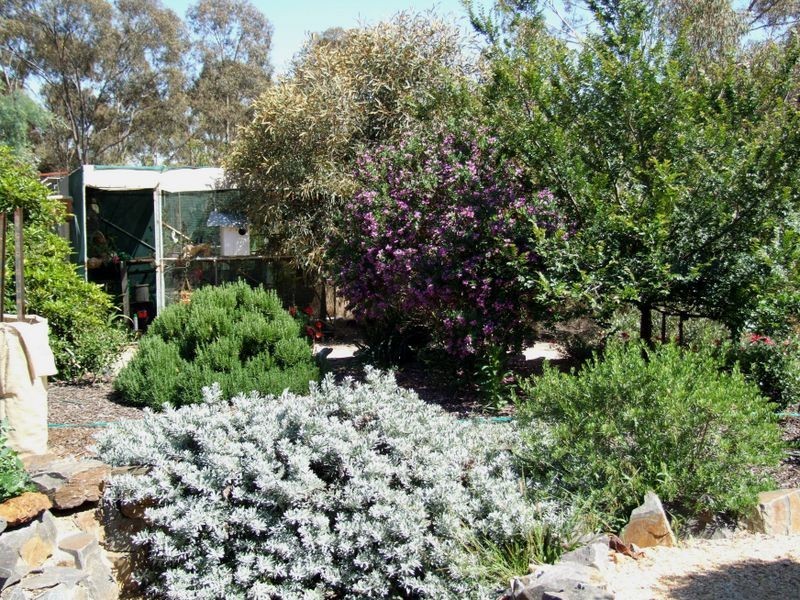 59 Wheelhouse Road Whela, Burkes Flat VIC 3475