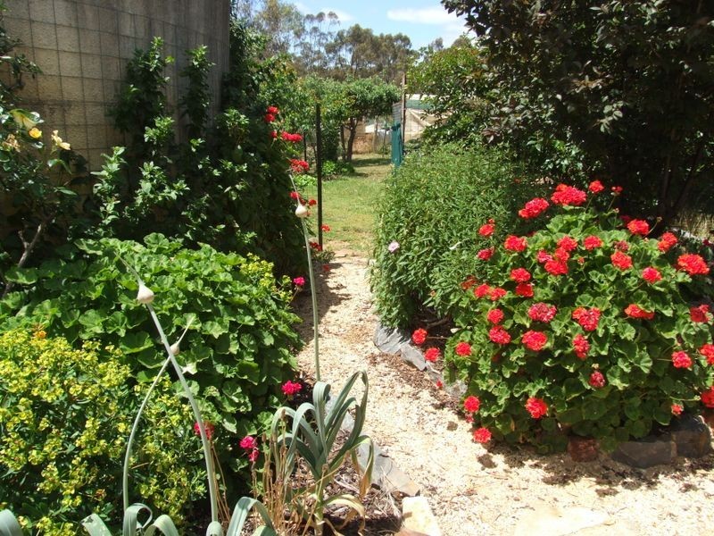 59 Wheelhouse Road Whela, Burkes Flat VIC 3475