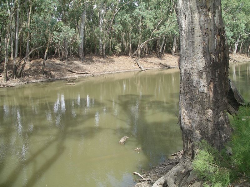 Lot 10 31 Main Street, Koondrook VIC 3580