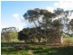 Lot 1 & 2 Webster Street, Wycheproof VIC 3527