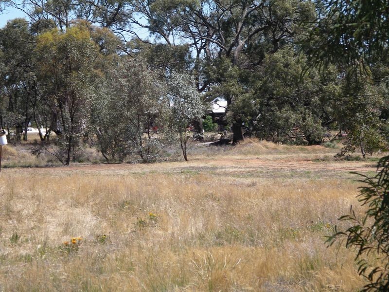 Lot 1 & 2 Webster Street, Wycheproof VIC 3527