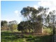 Lot 1 & 2 Webster Street, Wycheproof VIC 3527