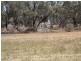 Lot 1 & 2 Webster Street, Wycheproof VIC 3527