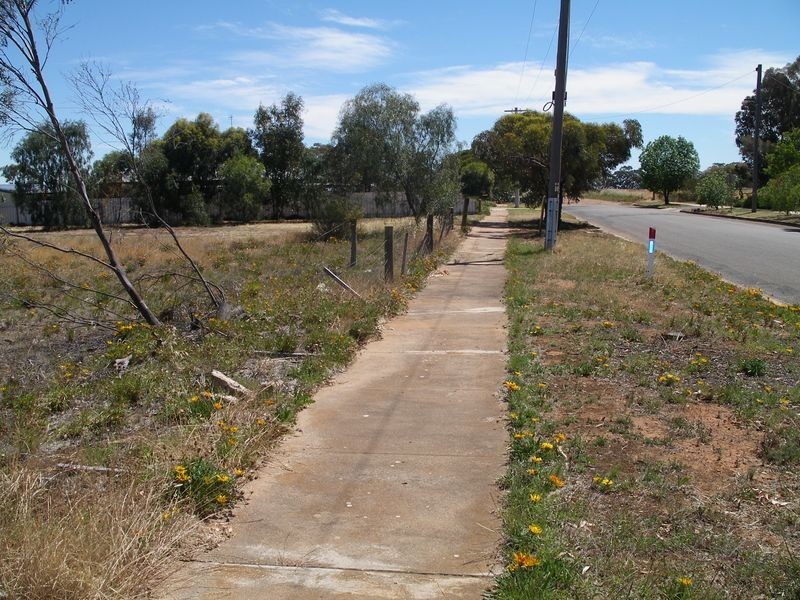 Lot 1 & 2 Webster Street, Wycheproof VIC 3527