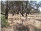 Lot 1 & 2 Webster Street, Wycheproof VIC 3527