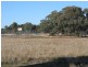 Lot 1 & 2 Webster Street, Wycheproof VIC 3527