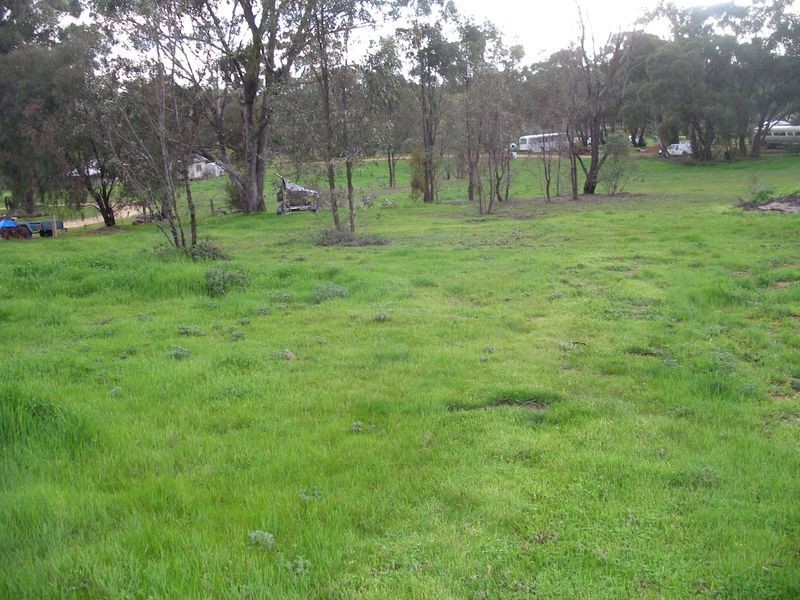 50 Speciman Road, Wedderburn VIC 3518