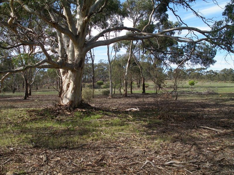 1 Monument Drive, Wedderburn VIC 3518